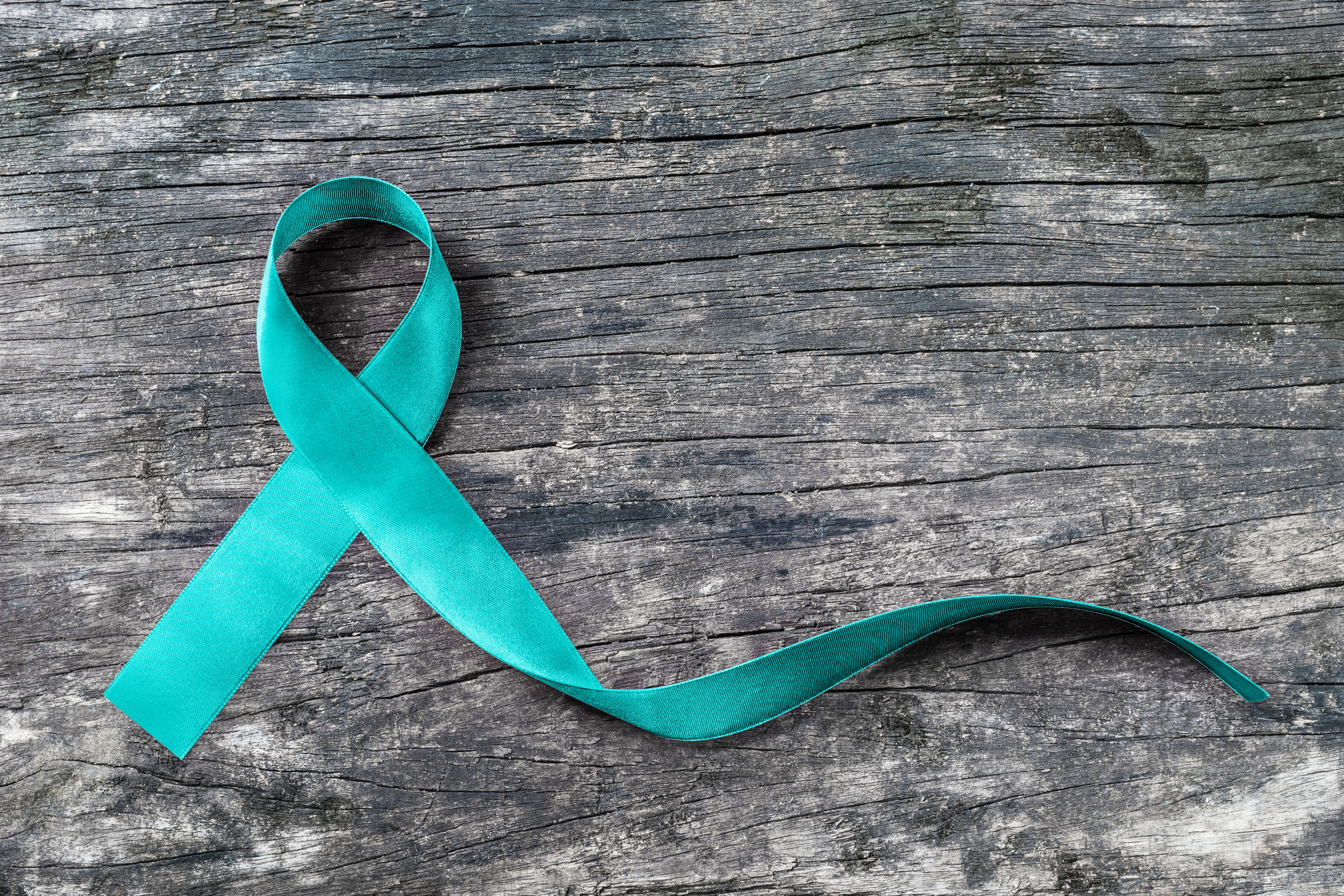 Teal awareness ribbon representing support and community awareness for sexual assault survivors
