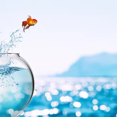 Fish Bowl